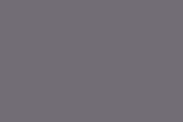 Pantone gris mastín