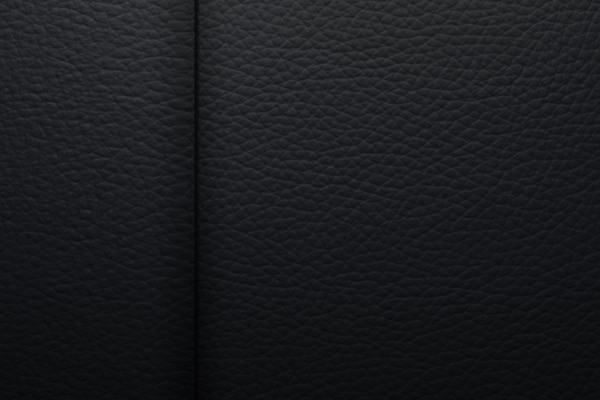 Pantone piel negra